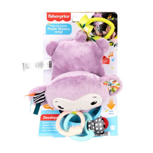 Fisher Price Sing & Go Purple Monkey  